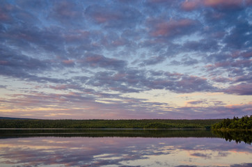 Fototapeta na wymiar Dramatic summer sunset and pines at Tuloma river, Kola Peninsula, Murmansk region, Russia