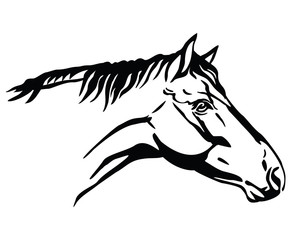 Vector horse portrait