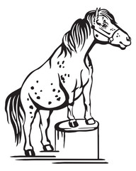 Vector standing pony