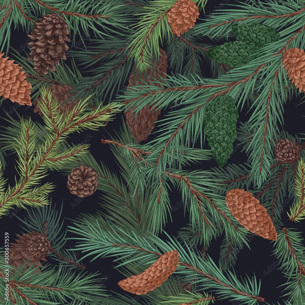 Poster Colorful realistic seamless pattern with conifer branches and cones. Hand drawn background with evergreen plant. Detailed engraved backdrop with coniferous tree. Vector illustration.