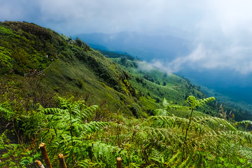 Naklejka premium Touch the sky