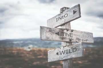 Into the wild signpost. Sign, road, nature, wilderness, message, rustic concept.