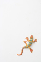 lizard shaped rubber toy in color background