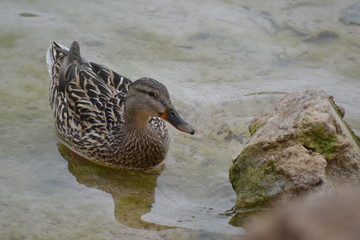 De viaje por Castilla La Mancha