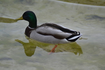 De viaje por Castilla La Mancha