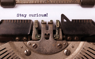 Stay curious, written on an old typewriter