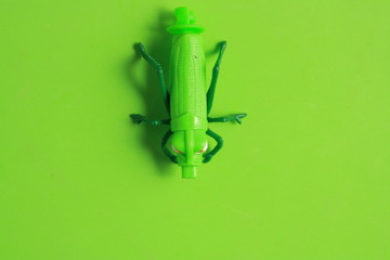 green insect shaped plastic toy in color background