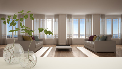 White table top or shelf with glass vase with hydroponic plant, ornament, root of plant in water, branch in vase, house plant, modern living room in the background, interior design