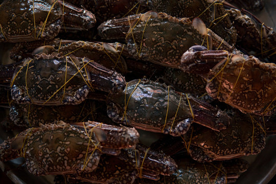 Close up of fresh crab at market.