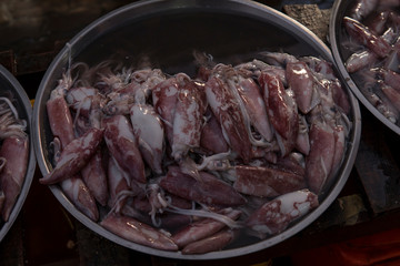 Selective focus of fresh squid at market. close up outdoor.