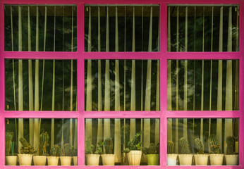 A row of vintage cactus pots standing on a windowsill behind old dusty window frame painted in purple color over background of vertical blinds.
