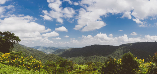 Views of green mountains and forests and clear blue skies.