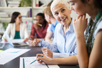 Successful group of business people at work in office