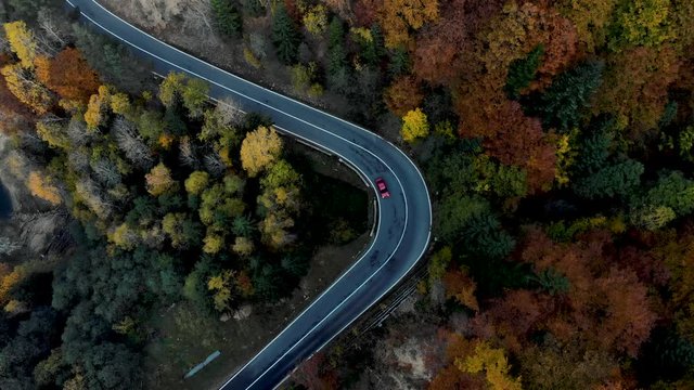 Aerial view of a winding  asphalt curvy road , through  beautiful colorful autumn forest  with red yellow and green trees in Transfagarasan &ndash; Carpathian mountains, Romania.