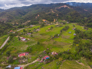 aerial image of beautiful pattern Paddy Field rice with small hut