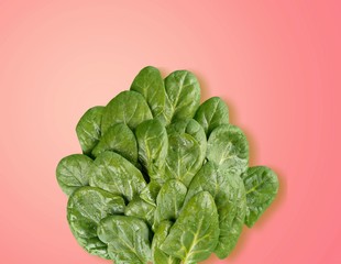Spinach.