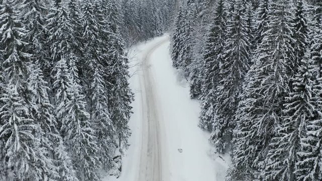 Snow-covered twisty road through forest in winter - aerial drone shot