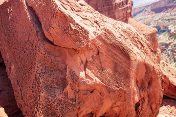 Coarse-grained sandstone laced with tafoni (holes caused by moving water) laces the surface found in Capitol Reef National Park, Utah