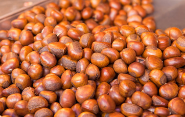 Ripe chestnuts favorite food for everybody