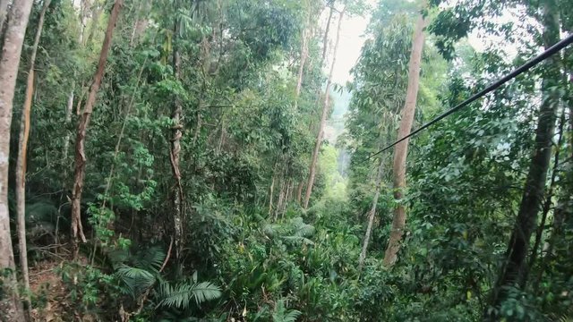 POV of Male Ziplining Through the Jungle during the Gibbon Experience in Laos