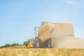 Yellow combine in the dust while harvesting grain