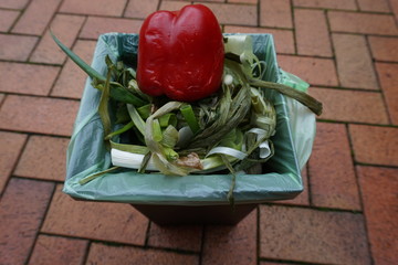 Organic waste in the compost bin with a red pepper on top