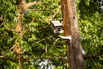 CCTV is attached to the power poles with trees in the background.