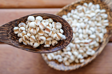 Job's tear with healthy concept