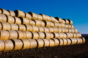 Hay lies on the field against the sky