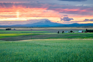 Western USA Countryside Sunset: Rolling fields and expansive farmland with a snow-capped mountain...