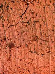 texture red brick