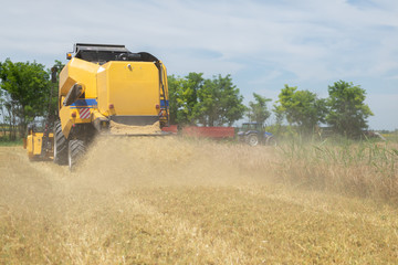 Wheat harvester passing by in the farm field