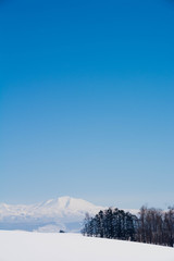 雪原と雪山　大雪山