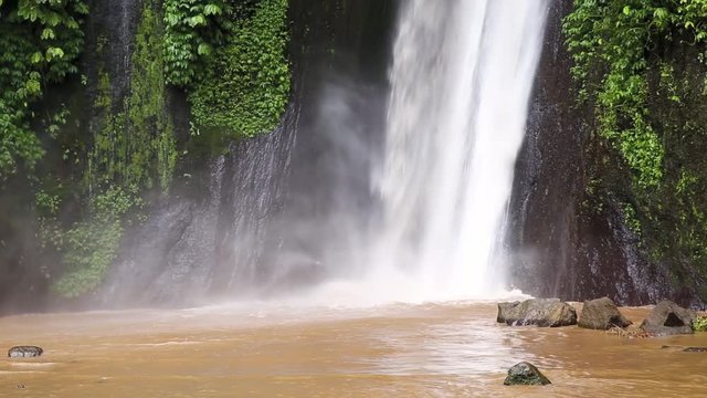 Close-up of Gitgit Waterfall between green plants - BALI, INDONESIA
