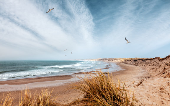 Ursprünlicher Strand an der Westküste von Dänemark