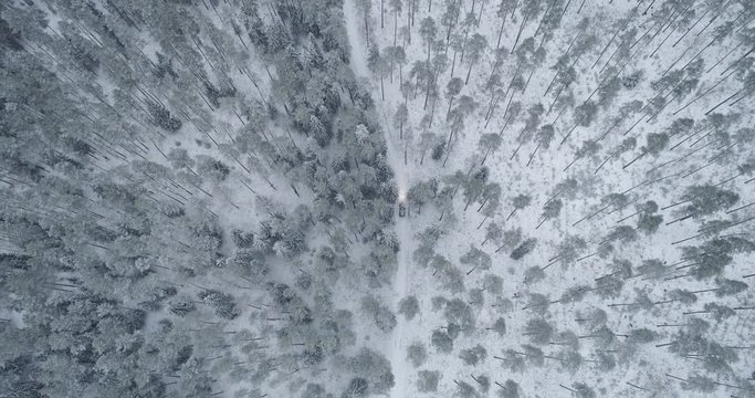 4x4 car driving in winter forest, top-down aerial drone shot