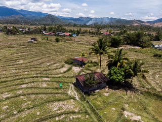 Aerial Of Rice Fields In Dry Season With Drought with beautiful rural landscape view in Tambunan,...