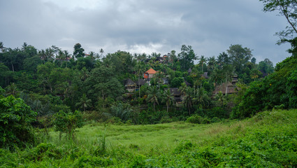 Secret house in nature