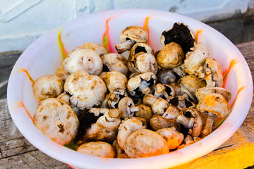 mushrooms in a pan