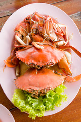 Steamed Cooked crabs Seafood in a dish, top view