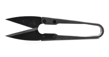 Scissors cut on a white background.