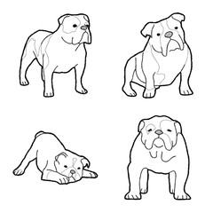 Bulldog Animal Vector Illustration Hand Drawn Cartoon Art