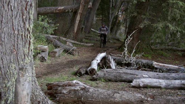 Man riding bike in forest. Bariloche, Argentina. Over a river near lake gutierrez