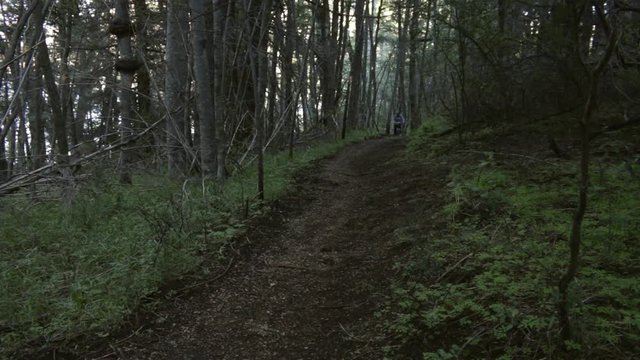 Man riding bike in forest. Bariloche, Argentina. Over a river near lake gutierrez