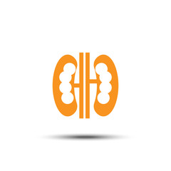 Kidney solid icon on white background