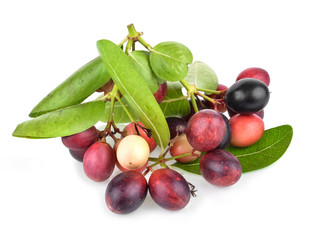 Karanda Fruits  isolated on white background