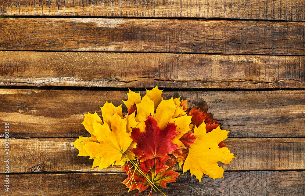 Canvas Prints autumn maple leaves bouquet on wooden table horizontal frame with copy space.
