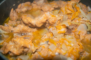 Meat with onions and carrots stewed in a saucepan. Home cooking. Close up.