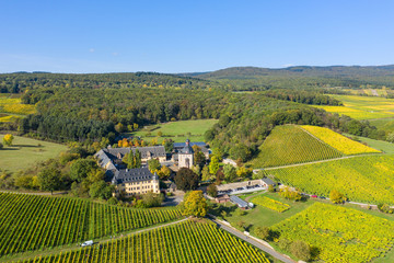 Die herbstlich verfärbten Weinberge bei Oestrich-Winkel/Deutschland und das Schloss Vollrads
