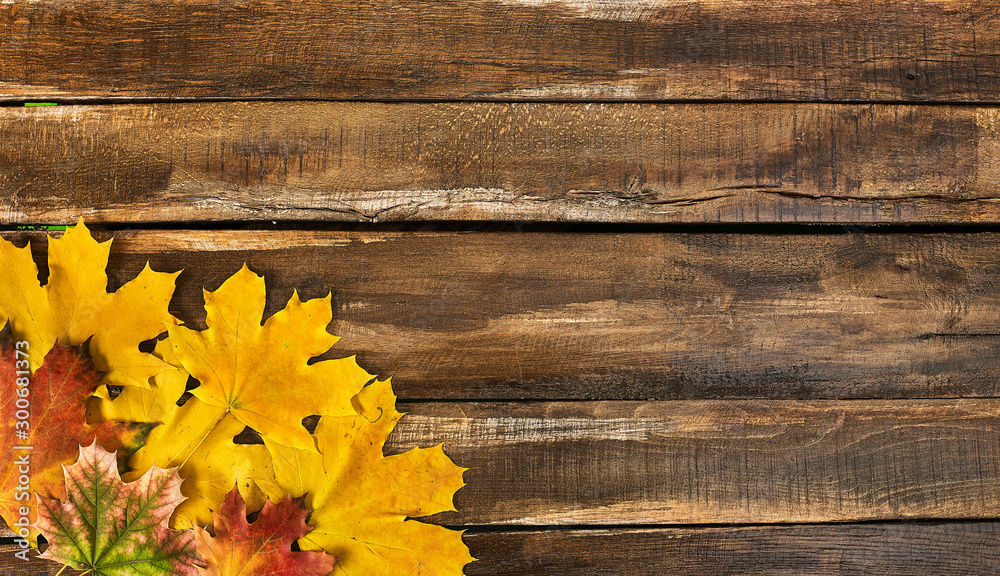 Wall mural autumn maple leaves on top view wooden table. horizontal frame with lower left corner